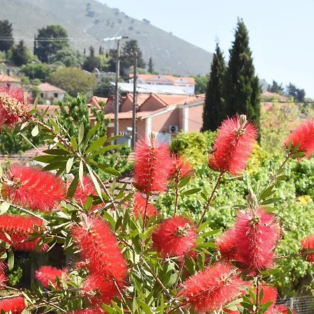 Apartamento Starvillas Apartments&studios Agia Efimia