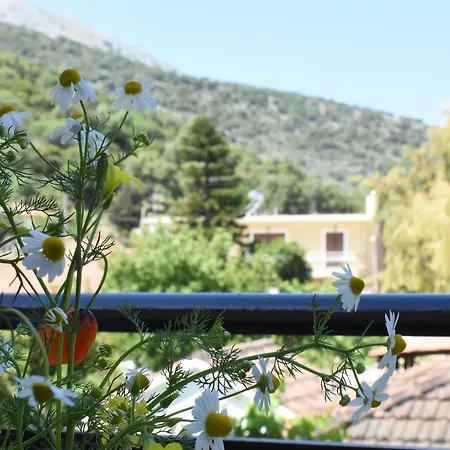 Starvillas And Apartament Agia Efimia