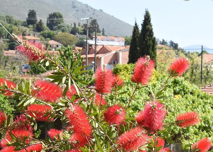 דירה Starvillas And איה אפימיה